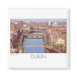 Ireland Dublin River Liffey (St.K.) Magnet
