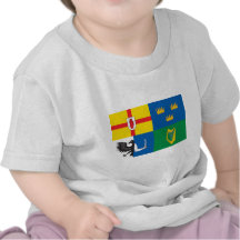 Ireland (Four Provinces Flag) Tees