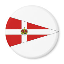 Ireland pennant refrigerator magnets