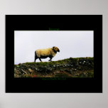 Ireland Poster Print