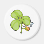 Ireland Shamrock Magnet
