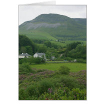 Irelands Green Fild Cards