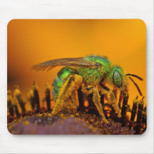 Iridescent Green Sweat Bees Mousepads