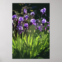 IRIS 2 POSTERS