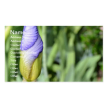 Iris Bud Business Card Templates