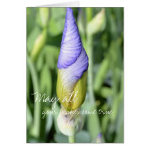 Iris Bud- Wishes Greeting Card
