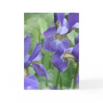 Iris Bulbs Greeting Card
