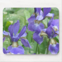 Iris Bulbs Mouse Pad