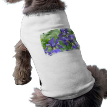 Iris Bulbs Pet Shirt