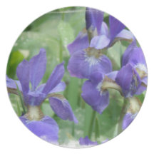 Iris Bulbs  Plate