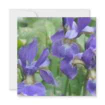 Iris Bulbs Poster Personalized Invite