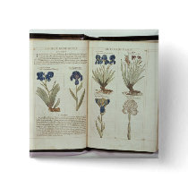 Iris Pins