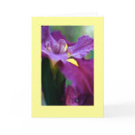 "Iris" cards