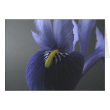 Iris Card