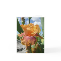 IRIS CARD - BOTTLE ROCKET - Blank Note Card
