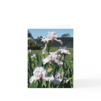 IRIS CARD - STAWBERRY FROSTING - Blank Note Card