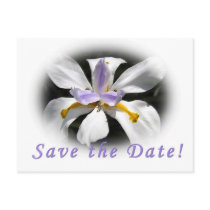 Iris Dream Save the Date Postcard