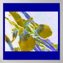 Iris Effect Poster