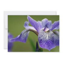 Iris Flower Invitation