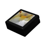 Iris Flower Photograph Jewelry Box