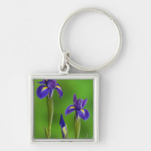 Iris Flowers Keychains
