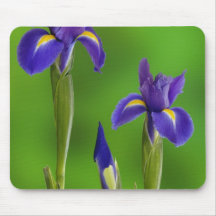 Iris Flowers Mousepads