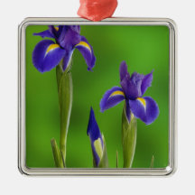 Iris Flowers Ornaments