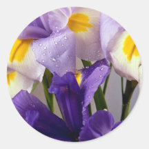 Iris flowers round sticker