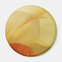 Iris Fridge Magnets