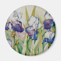 iris garden 2 magnet