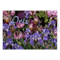 Iris Garden Purple Blue Pink Cards