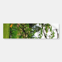 Iris Gardens Bumper Sticker