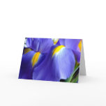 Iris Happy Birthday Card