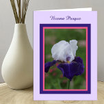Iris Happy Easter in Italian -- Buona Pasqua Greeting Cards
