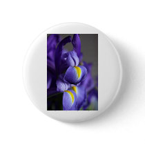 Iris II Pins
