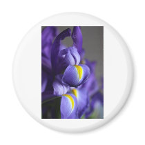 Iris II Refrigerator Magnet