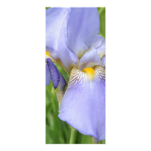 Iris III Bookmark Announcement