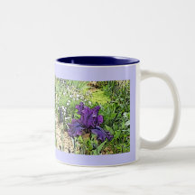 Iris in Spring Mug
