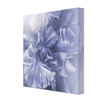 Iris inner beauty (anniversary silver hue)