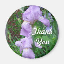 Iris Magnet-customize it