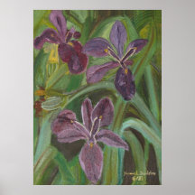 Iris mauve de LA Posters