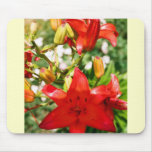 Iris Mouse Pads