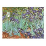 Iris par Vincent van Gogh, beaux-arts vintages Cartes Postales