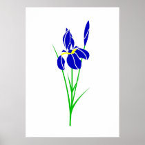 Iris Poster