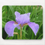 Iris pourpre tapis de souris
