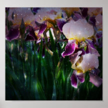 Iris Print