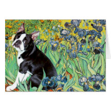 Irises - Boston Terrier #4 Greeting Card