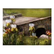 Irises by the bridge post cards