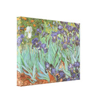 Irises by Vincent van Gogh