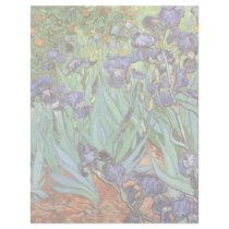 Irises by Vincent van Gogh